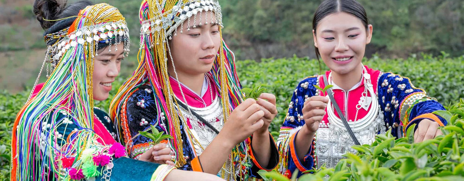 Hmong Heritage and Thai Tapestry Tour